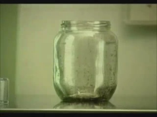 fleas and a jar (the most amazing experiment)